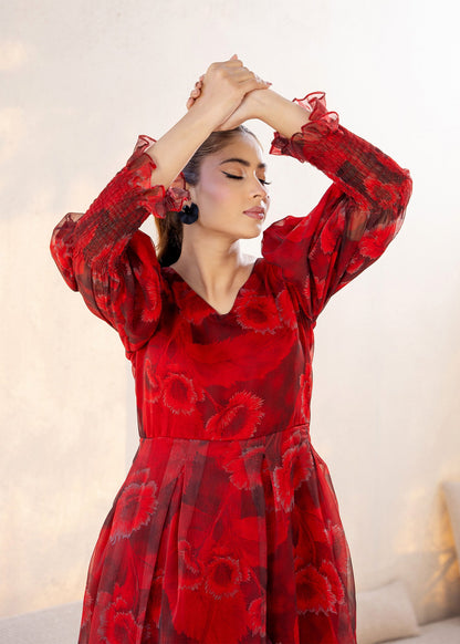 Ziya 06