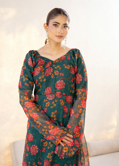 Ziya 02