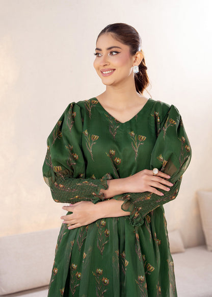 Ziya 04